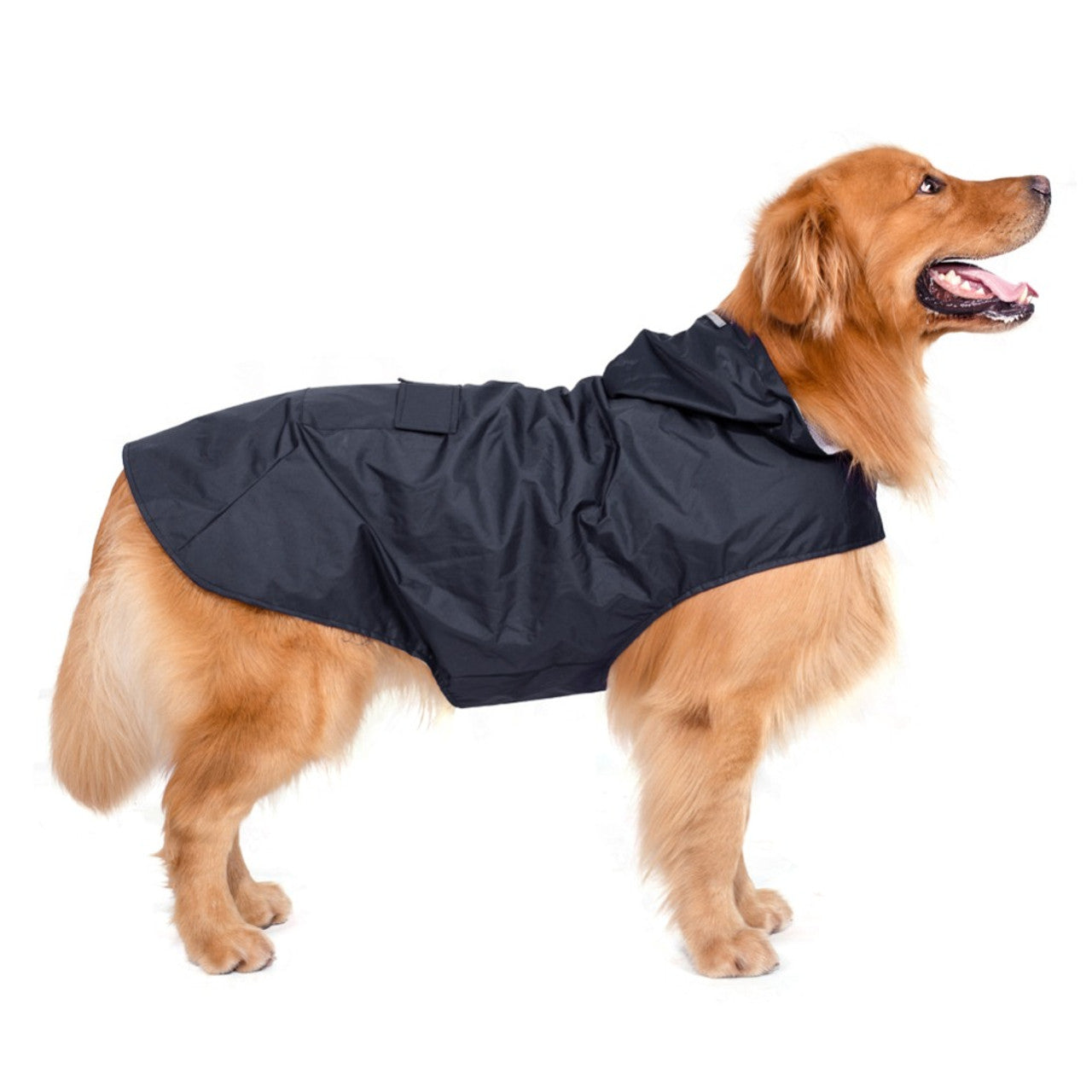 WeatherGuard Dog Jacket