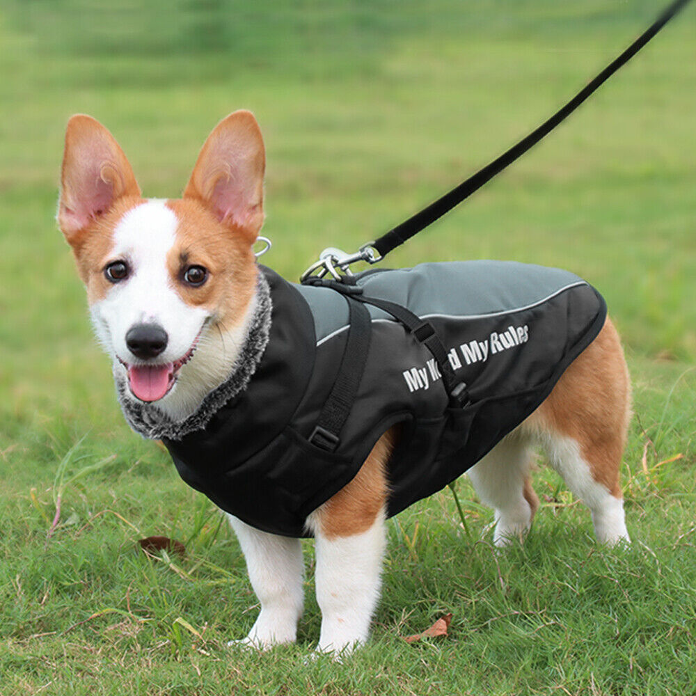 WeatherGuard Dog Jacket